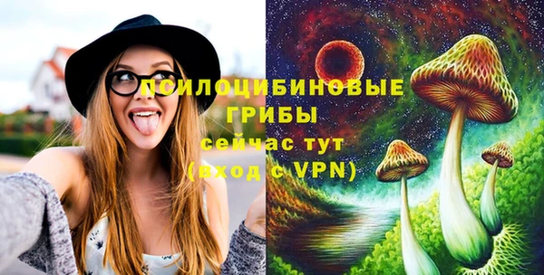 синтетический гашиш Верхний Тагил