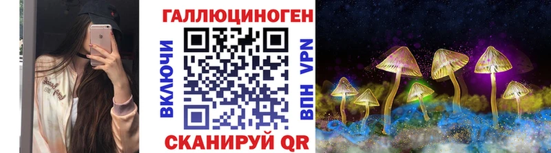 Псилоцибиновые грибы Cubensis  Жуковка 
